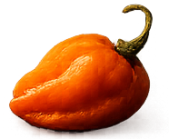 Carolina Reaper